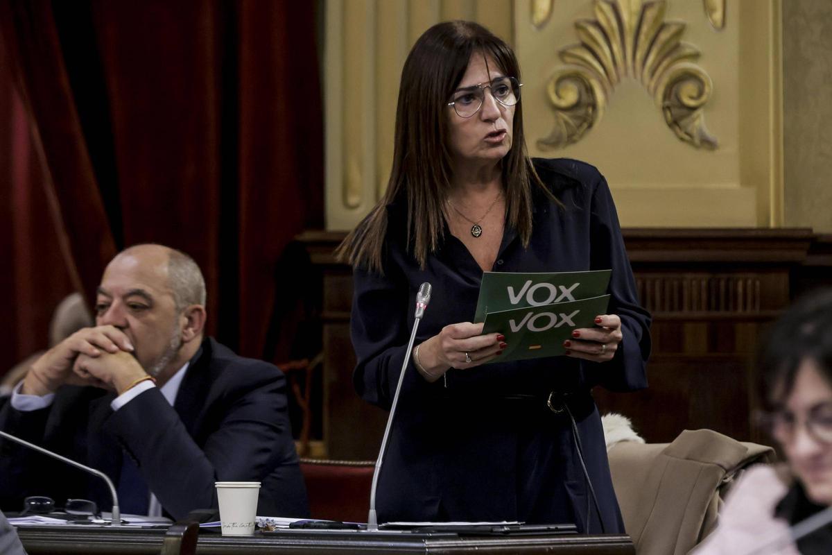 La enmienda la firma la diputada manuela Cañadas