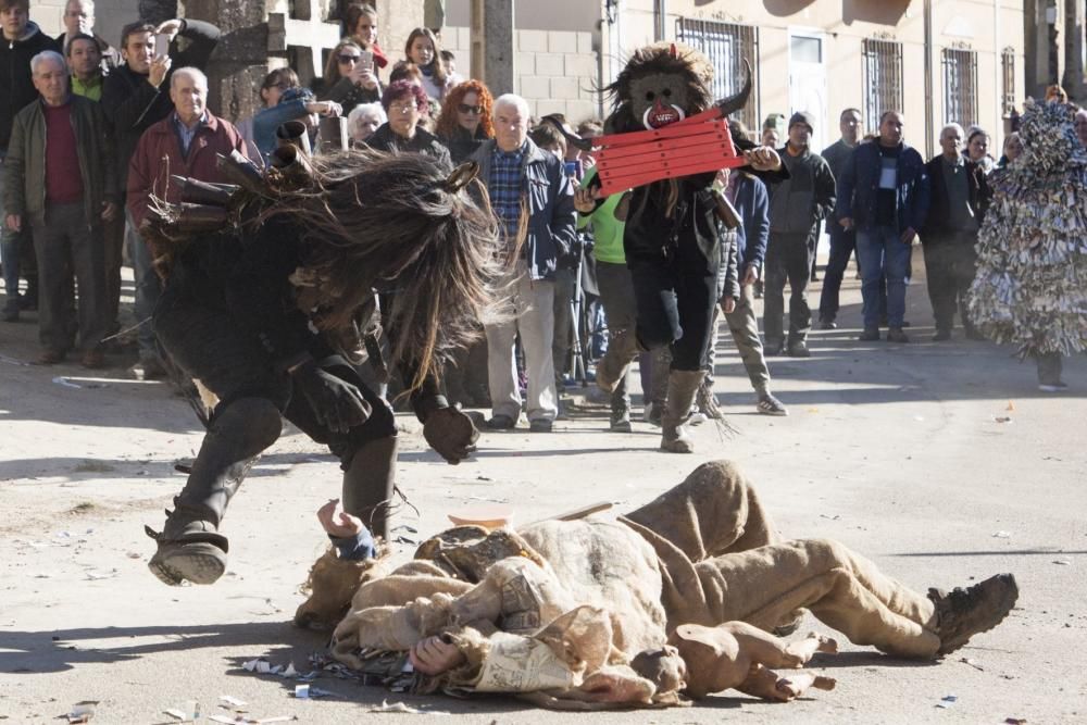 Carochos de Riofrío 2019