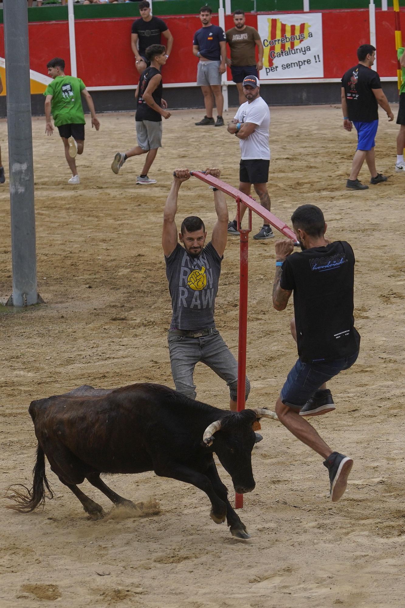 Les imatge del correbou de Vidreres