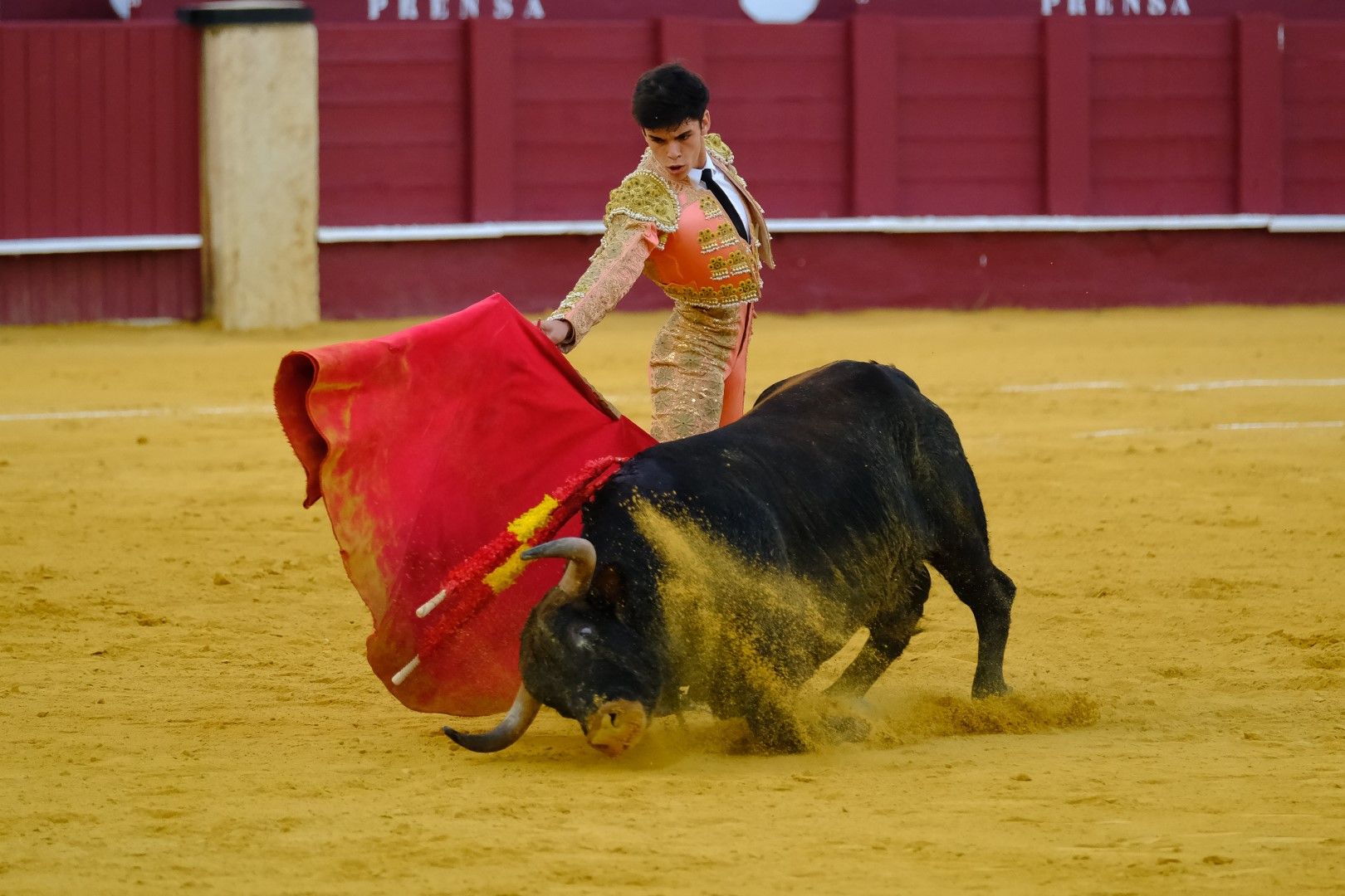 XVI Certamen Internacional de Escuelas Taurinas La Malagueta