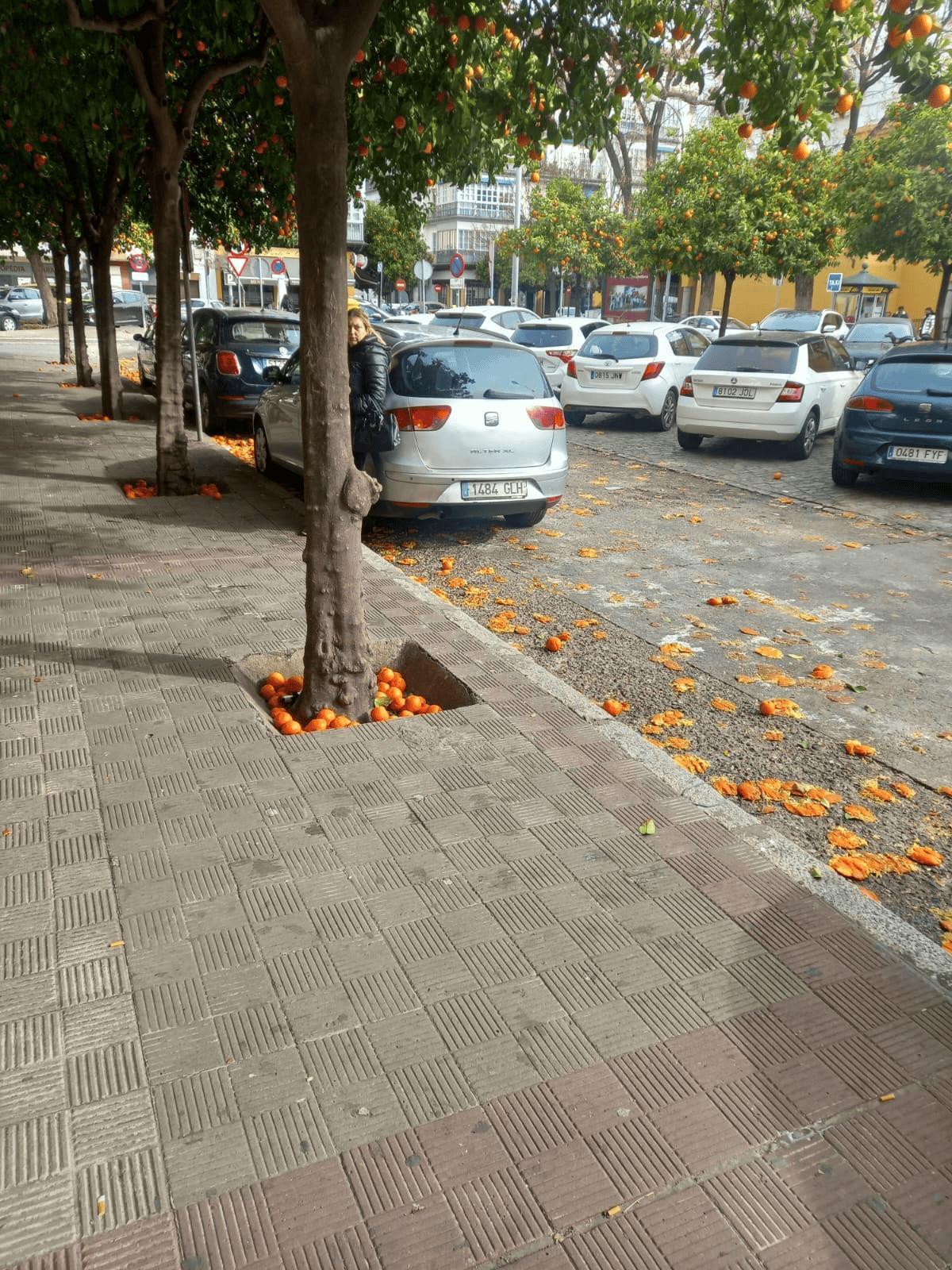 Vía pública llena de naranja pochas