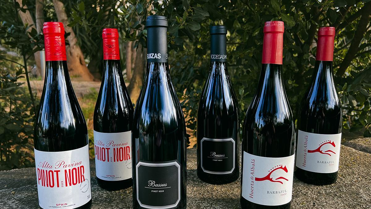 Variedades singulares pura elegancia pinotnoir