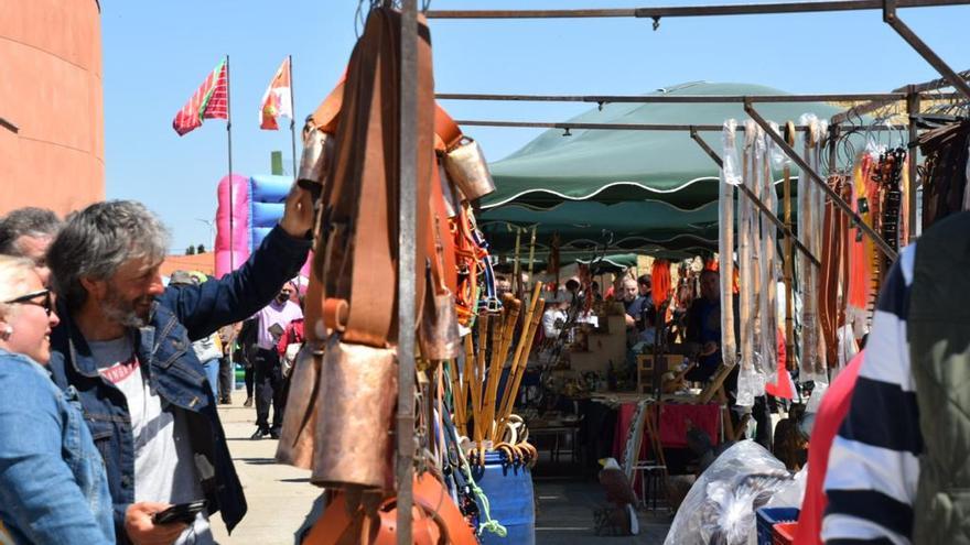 Feria de San Miguel en Carbajales de Alba