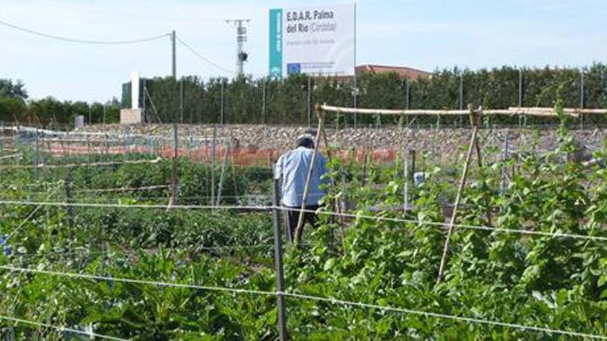 El Consistorio decide su salida de Emproacsa