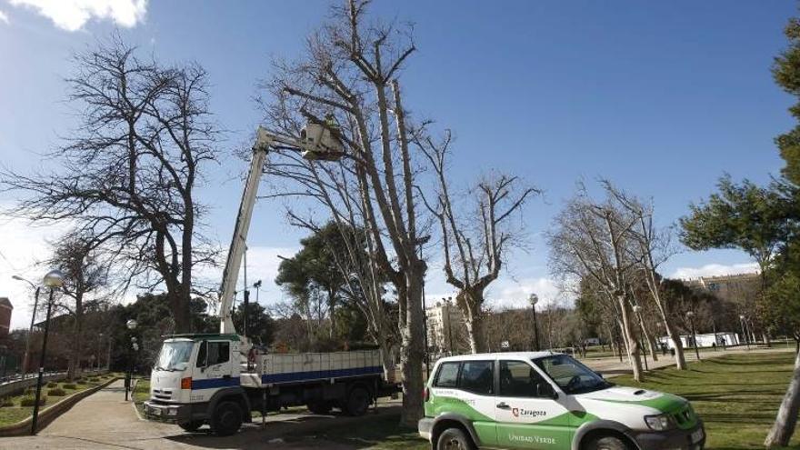 Cinco parques aspiran a acoger la Cincomarzada en el 2015