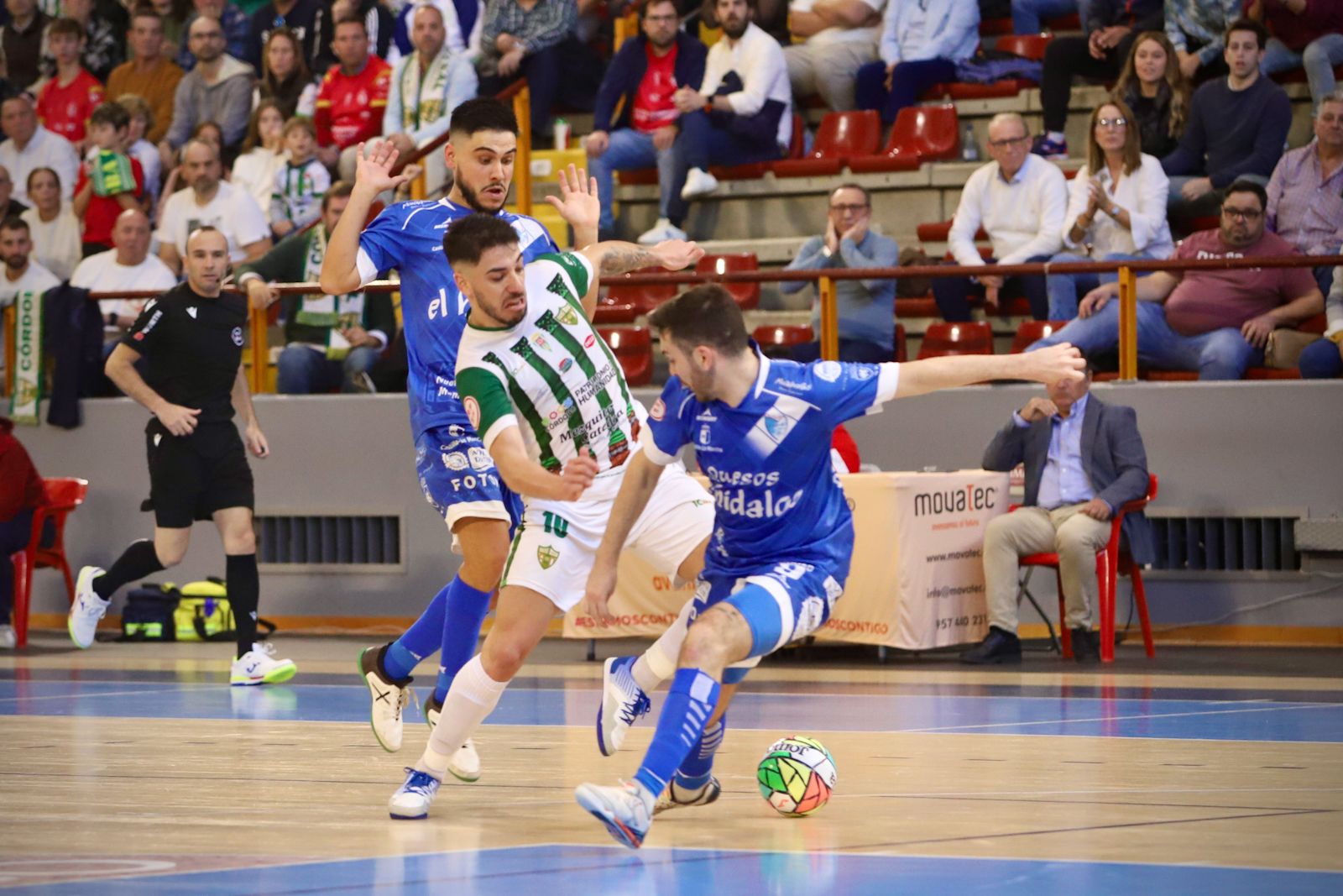 Córdoba Futsal - Manzanares : el partido en Vista Alegre en imágenes