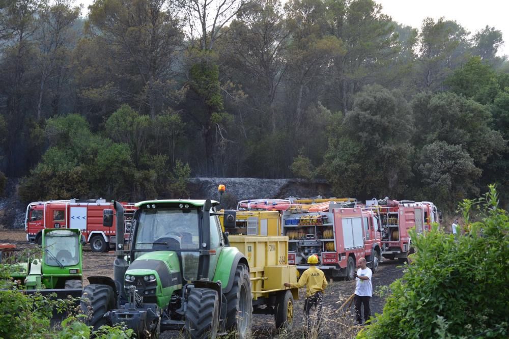 Els Bombers apaguen un foc a Vilademuls