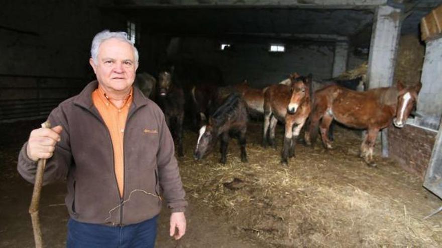 Diego García, con algunos de los caballos de monte que tiene en su finca de Alfonselle.  // Bernabé/Gutier