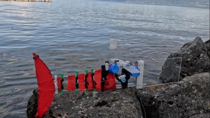 Progettano un robot che cresce come un pesce: passa da 60 centimetri a quasi 3 metri