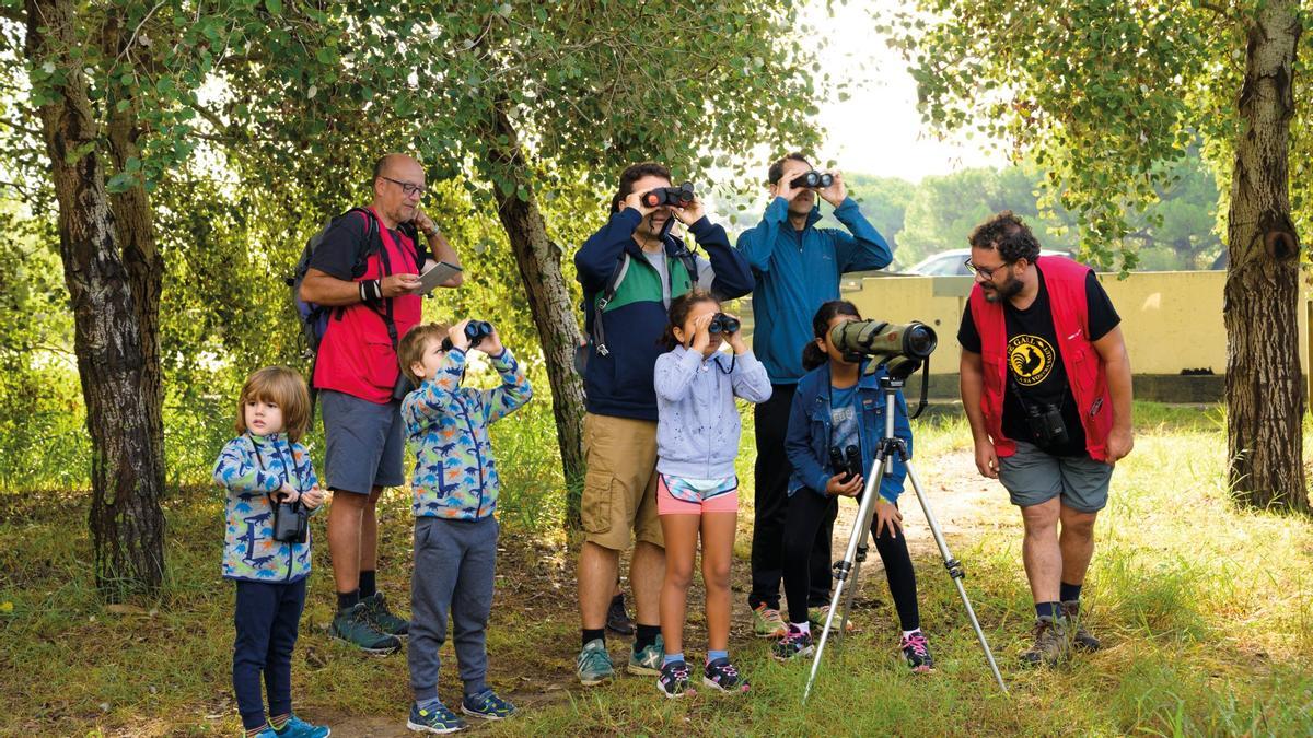 Día mundial de los pájaros en el parque de l'Estany de la Murtra, en Viladecans.