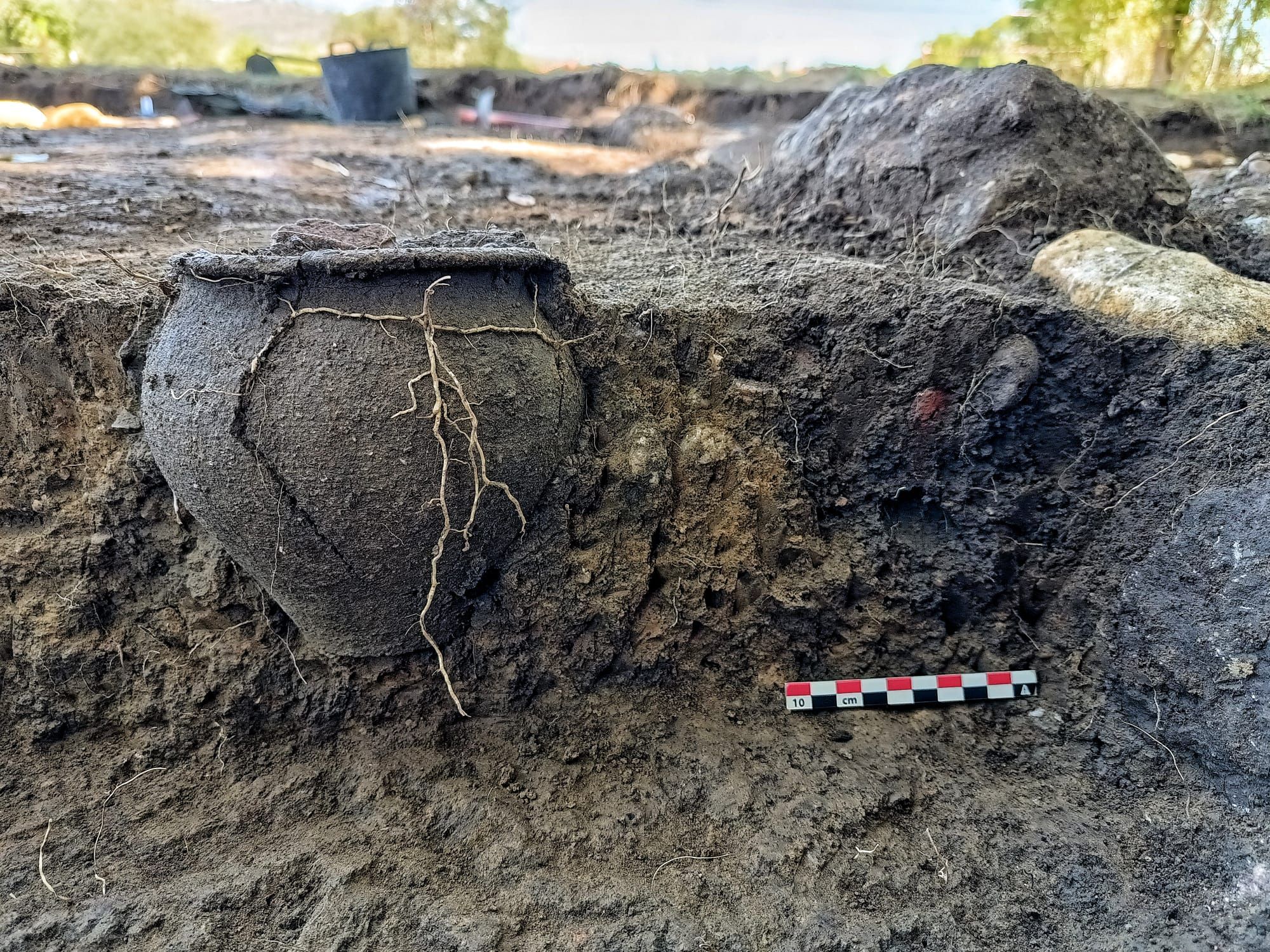 La excavación de Lucus Asturum sigue dando fruto: aparecen una olla romana y más cerámicas en Llanera