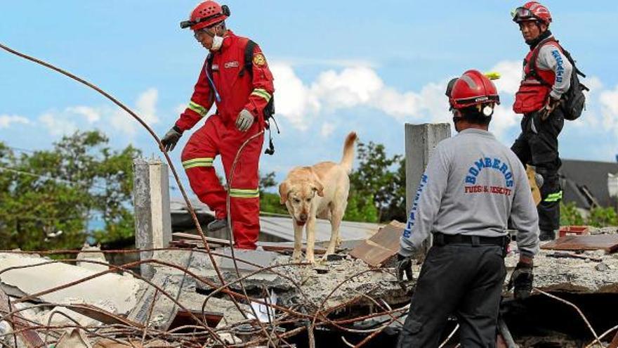 Un equip de rescat busca supervivents del terratrèmol al sector de Pedernales