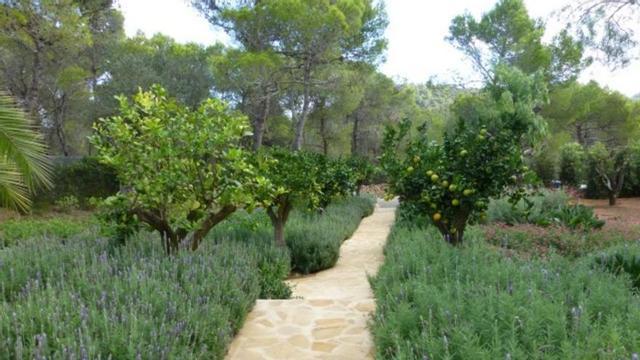 Una empresa especializada en jardines autóctonos. | JARDÍN MEDITERRÁNEO