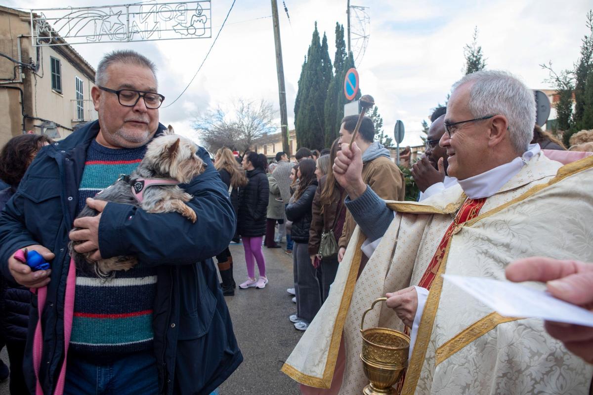Beneïdes en Pòrtol.