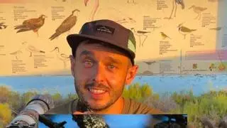 Los cinco nombres de aves más curiosos de Ibiza: de ‘blauet’ a ‘cagamànegs’