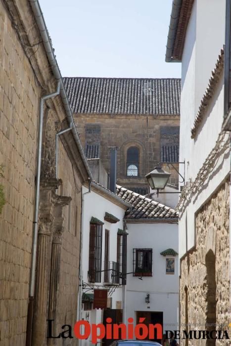 Reliquias de San Juan de la Cruz para la exposició