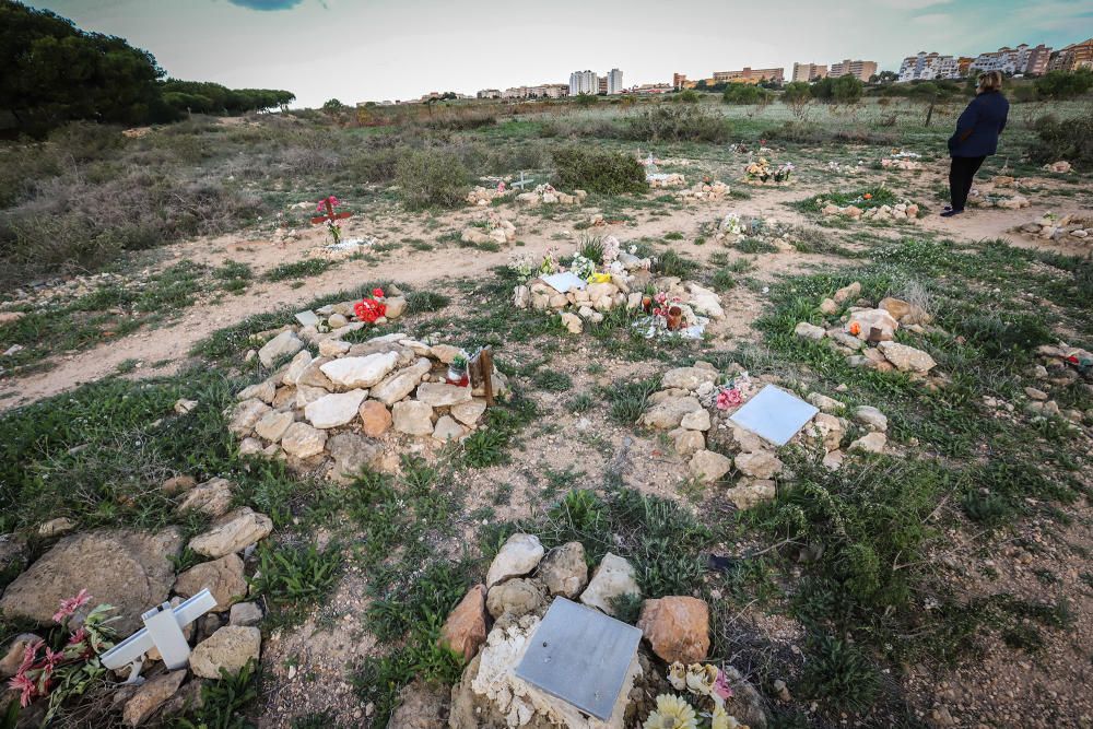 Junto al parque de Lo Albentosa de Torrevieja se extienden fosas y lápidas en una práctica no regulada