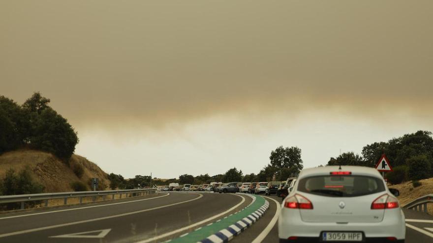Efectivos de la UME rescatan ganado atrapado por las llamas en los incendios