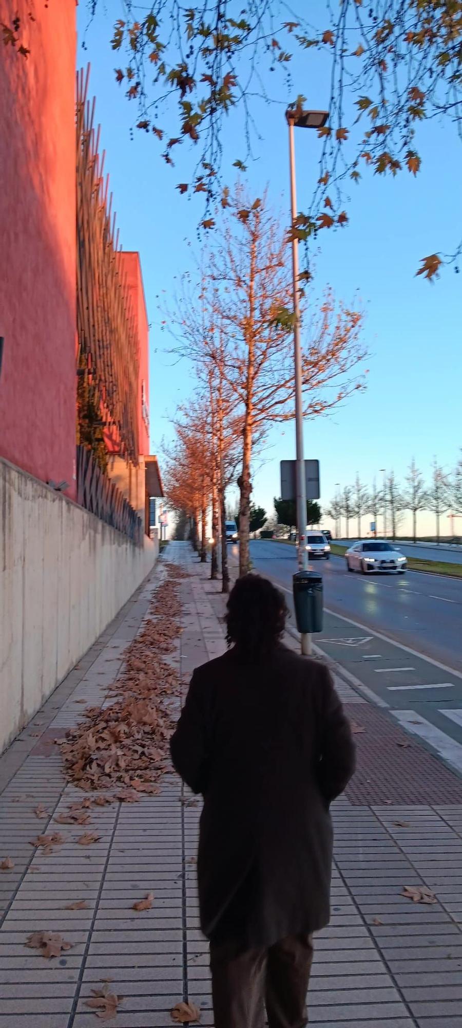 La avenida Jaime Montero de Espinosa, donde está el centro de salud.