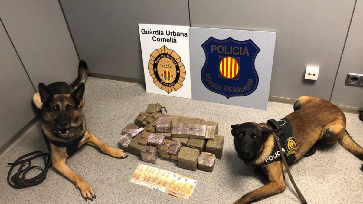 Los 20 kilos de hachís comisionados en Cornellà junto a dos perros de la unidad canina