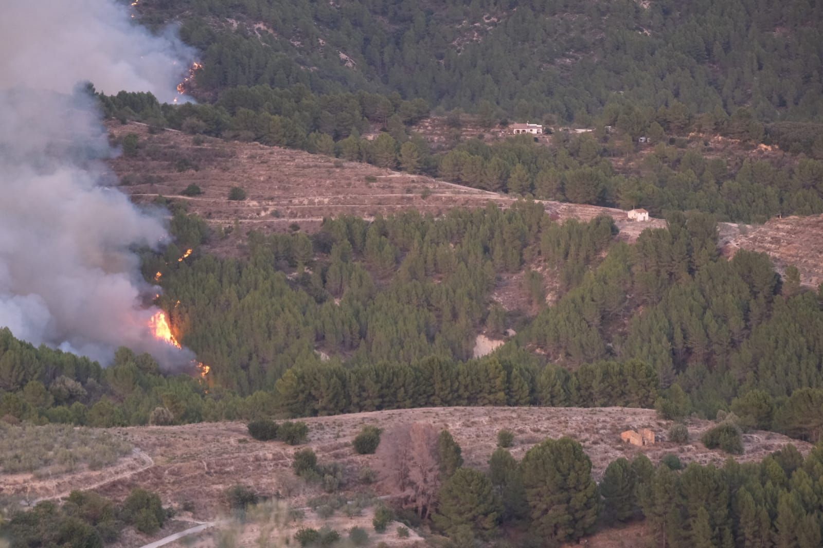 Las imágenes del incendio forestal declarado en Tàrbena