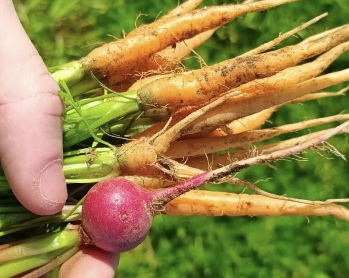 La Finca de los Cuervos trabaja con una app en la que ofrece más de 60 variedades a lo largo del año a sus clientes