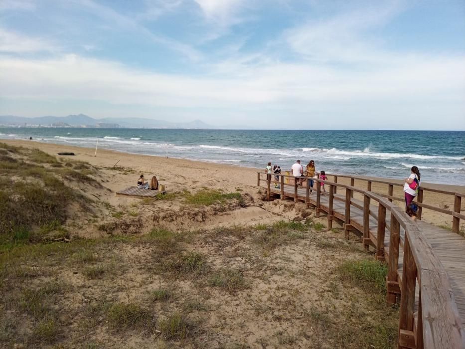 Reabren las playas en Elche y carencias