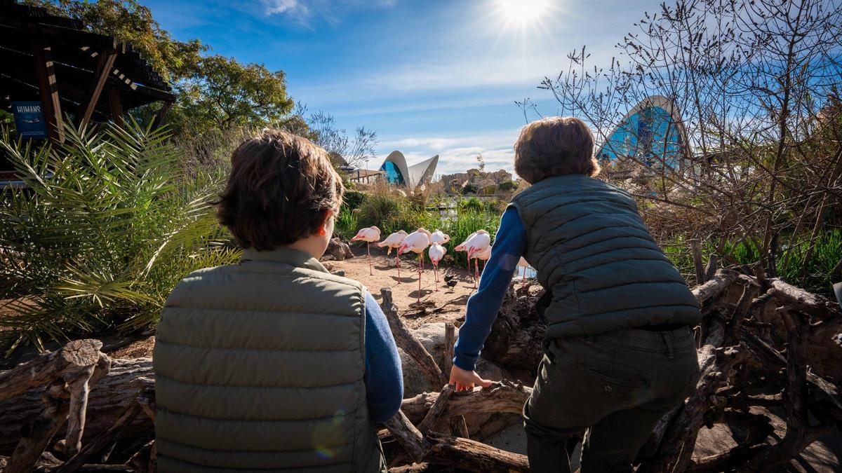 Dos escolars gaudint de la proposta Passeig per l’Albufereta de l’Oceanogràfic.
