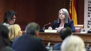 La esposa de Santos Cerdán rechaza declarar en el Senado alegando que su marido está siendo investigado