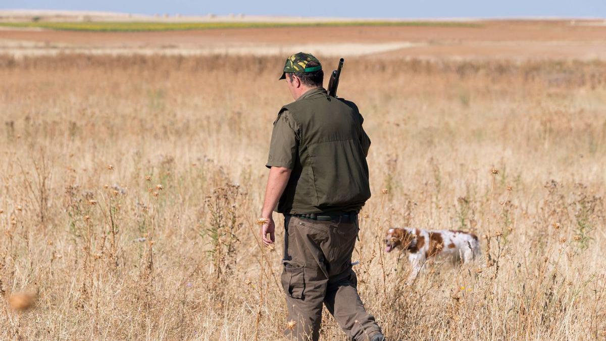 Un cazador zamorano sale al campo el día de la media veda para la codorniz y otras especies. | J. L. Leal