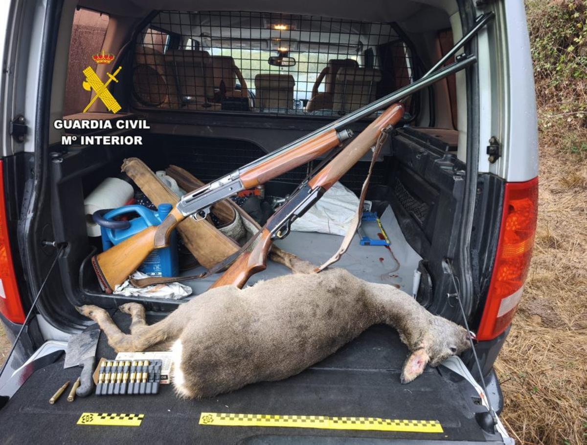 Armas incautadas por la Guardia Civil y el corzo abatido | GC
