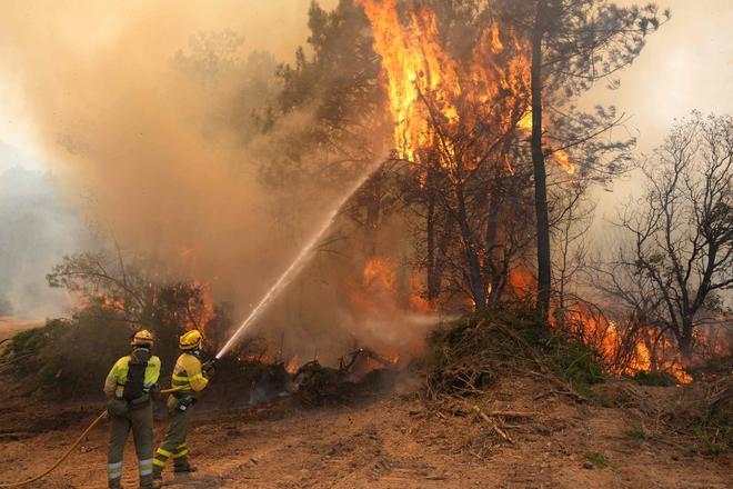 España llora de solastalgia, el dolor de ver un país asolado por incendios: así es cómo los desastres climáticos están aumentando la angustia colectiva