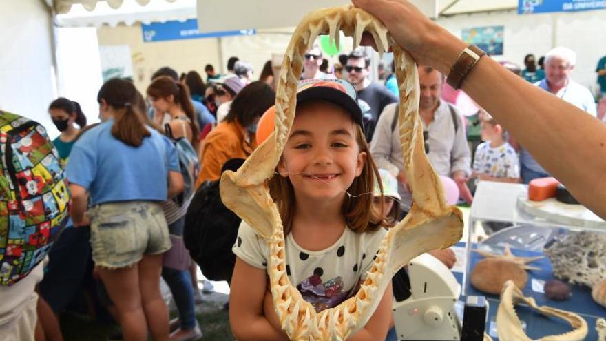 Jaima del Centro
Oceanográfico
de A Coruña.   | //
VÍCTOR ECHAVE 