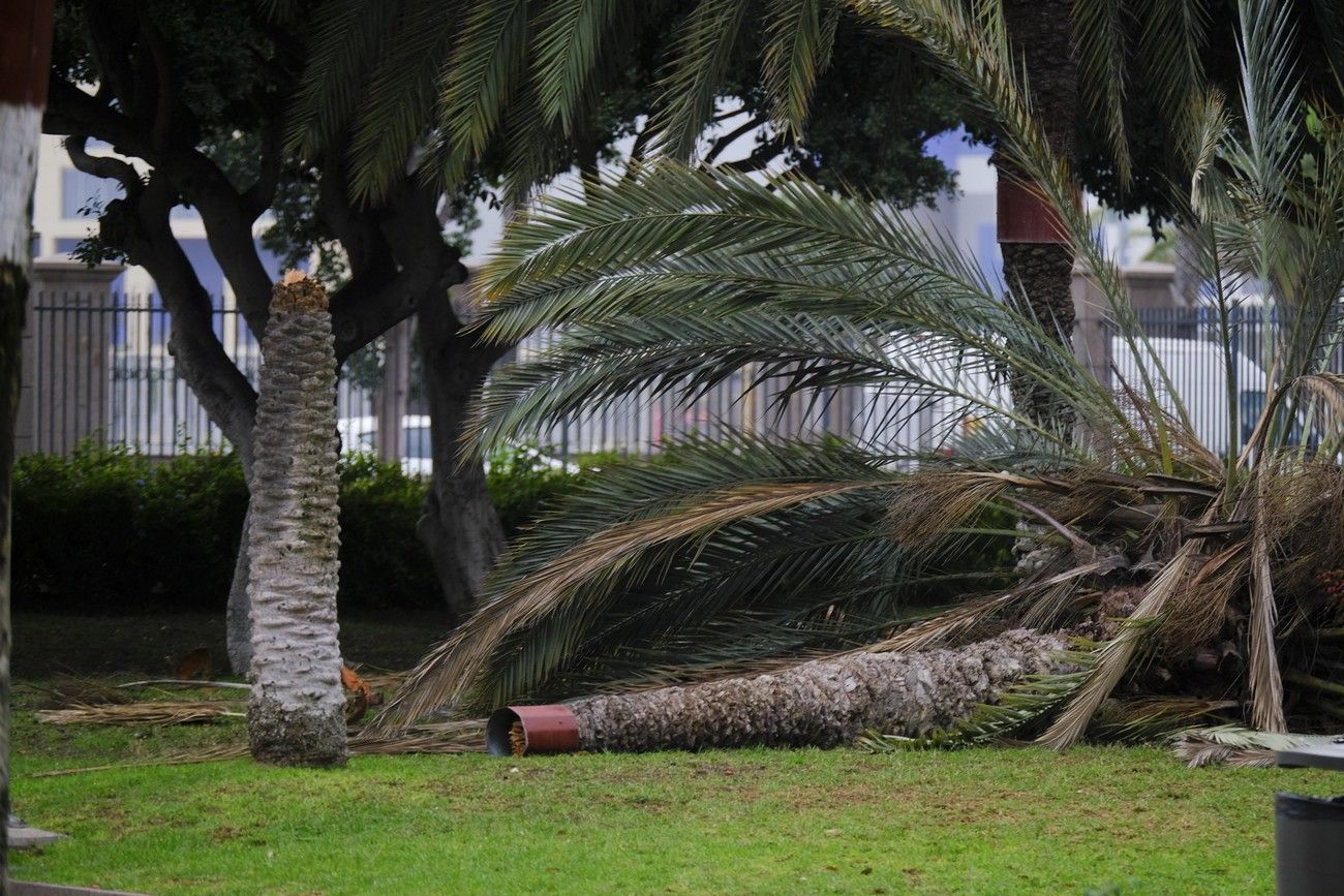 El fuerte viento golpea a una Canarias con calima