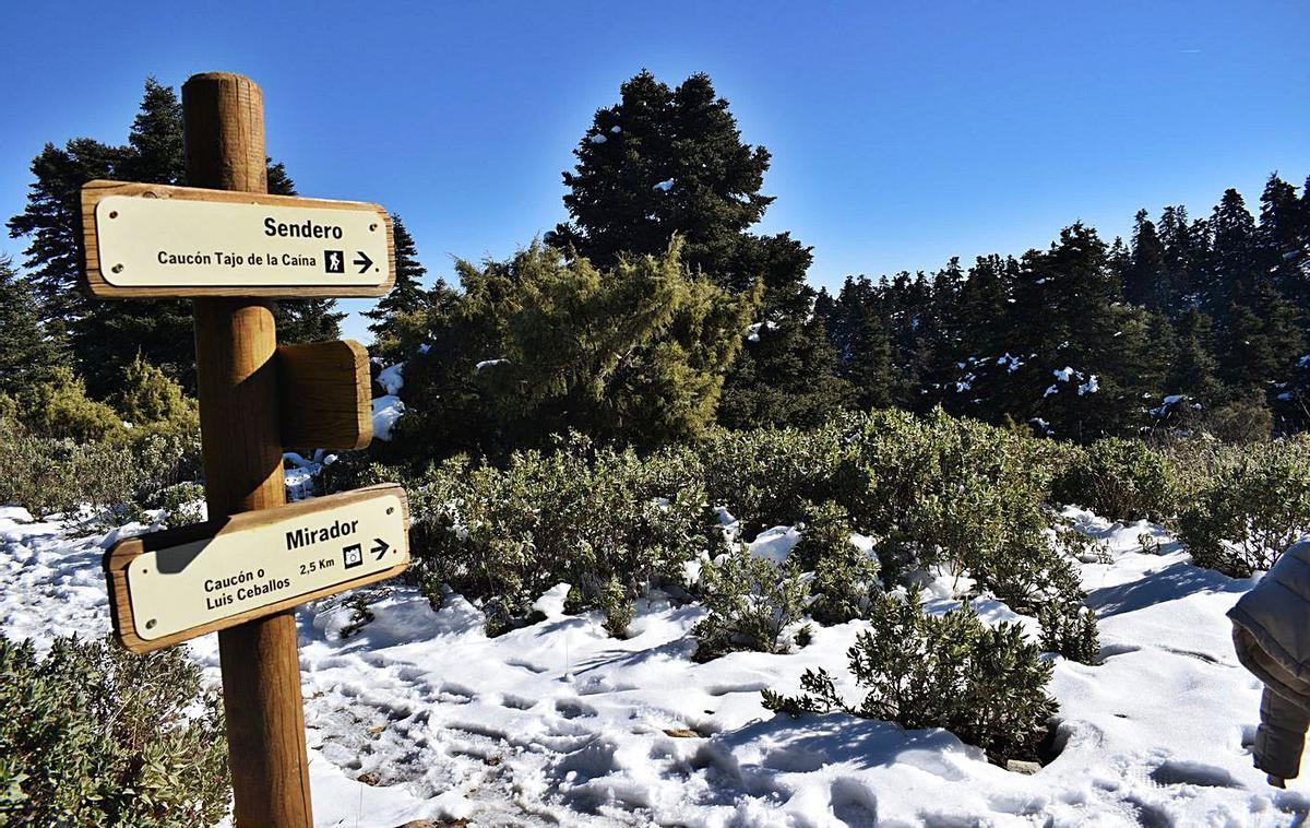 Sendero Luis Ceballos-Tajo de la Caína. | RAFA CAMPOS CAMACHO