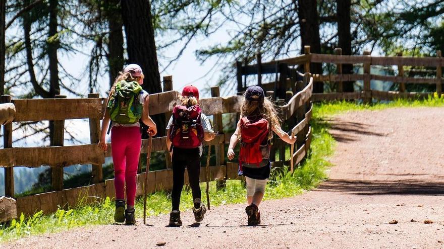 La ruta de senderismo entre cascadas y bosques que esconde uno de los rincones más bonitos de Alicante