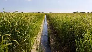 Extremadura pide flexibilidad a Europa con la Red Natura