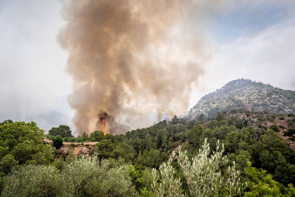 Dentro del incendio en Baix Ebre: los bomberos trabajan a contra reloj en el incendio forestal en Paüls