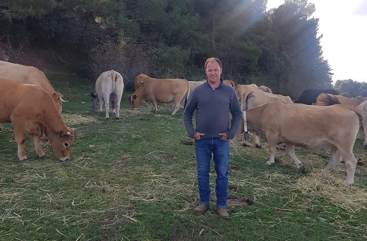 Marc Boix, ganadero de vacuno de Morella.