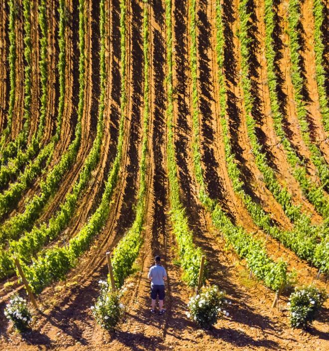 La Rioja