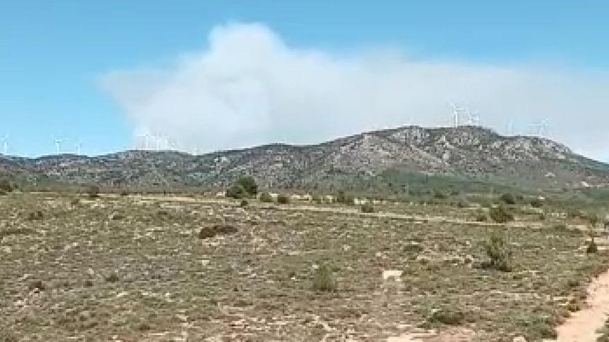 Denuncia de un residente ante la voracidad de las llamas.