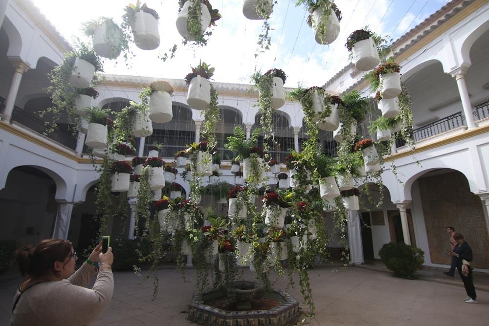 Los mejores artistas florales del mundo en Córdoba