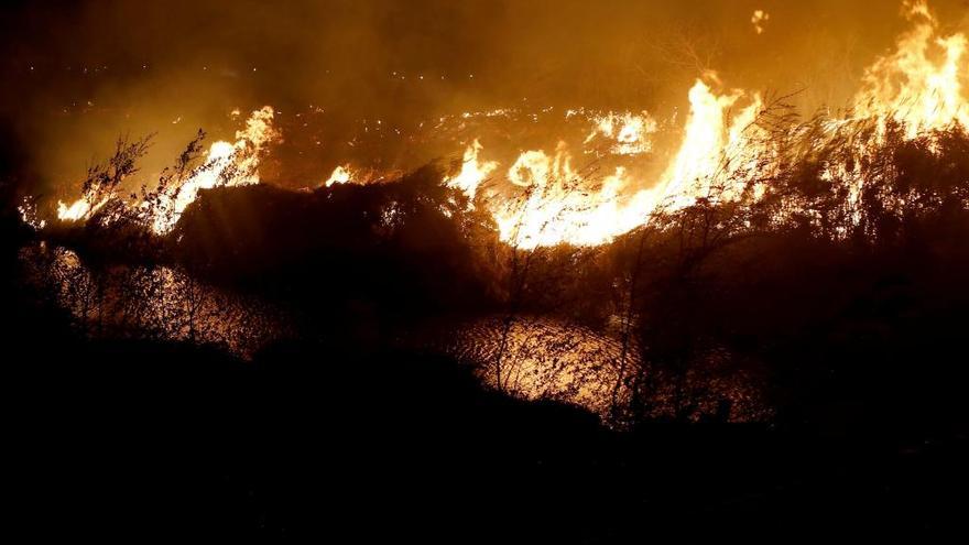 Un incendio intencionado arrasa la orilla del Xúquer a su paso por Alzira