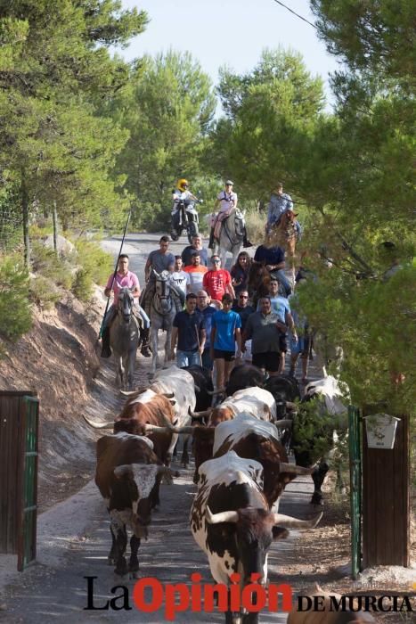 Vereda en Moratalla