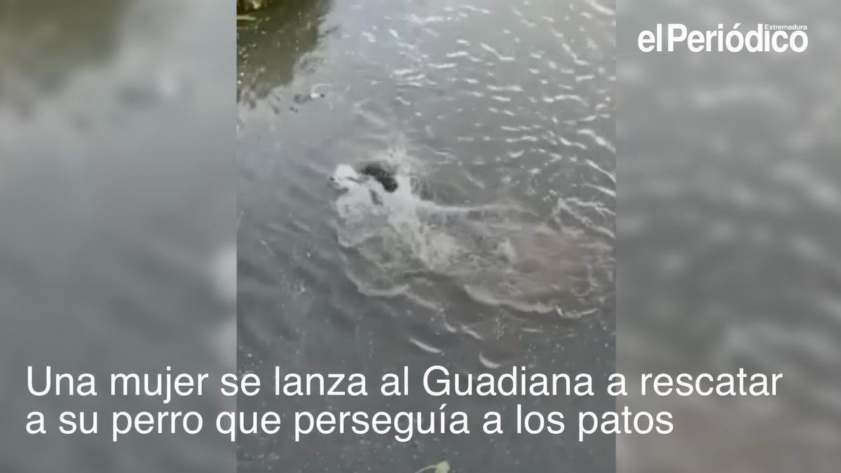 El perro en el Guadiana.