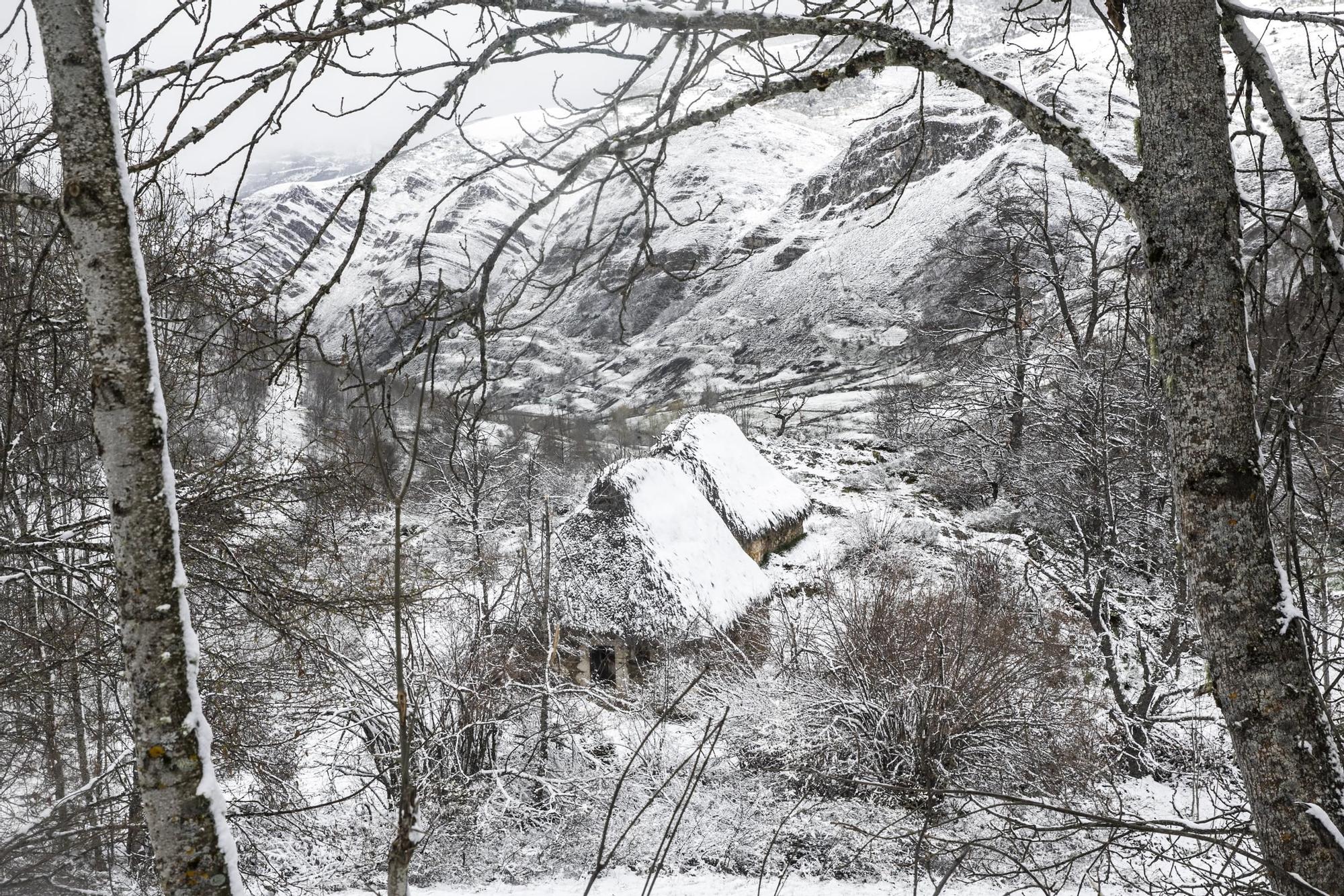 El invierto asturiano tiene su encanto: las 40 fotos que lo demuestran