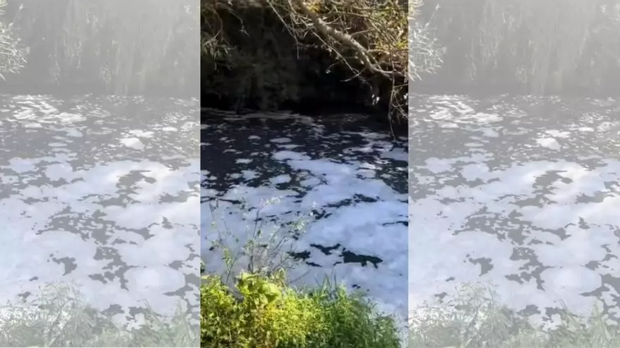 La espuma se adueña del castigado cauce del Sar en Bertamiráns desde primera hora
