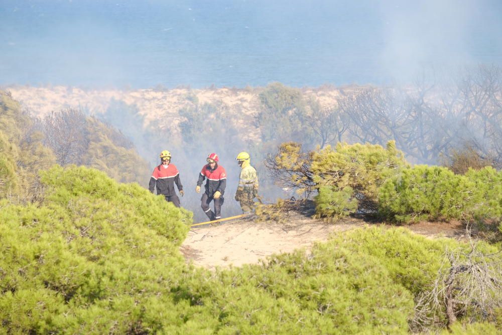 Extinción de un incendio en la pinada de Guardamar