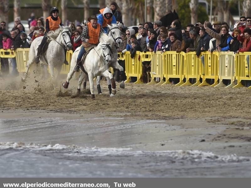 GALERÍA DE FOTOS -- Orpesa celebra Sant Antoni con carreras y bendición de animales