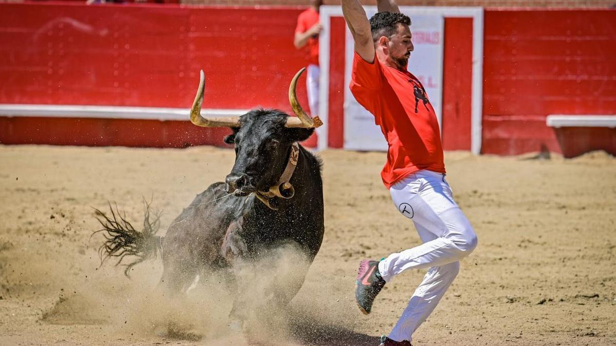 Julián Marín, ganador del concurso, en un recorte con ‘Millonaria’ en la final.